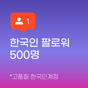 인스타 팔로워 늘리기 (한국인) 500명