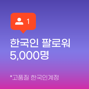 인스타 팔로워 늘리기 (한국인) 5,000명